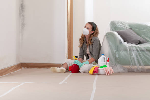 Reliable Mold Remediation contractor in Holtsville, NY by WQB Mold Removal